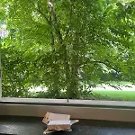 La Tortora Apartman